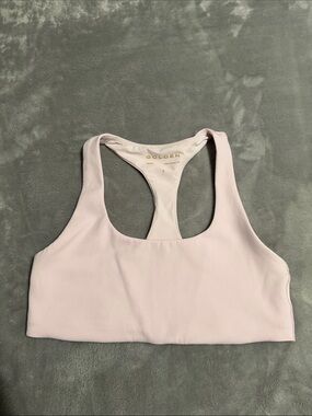 Aritzia Glotone Sports Bra - Pink